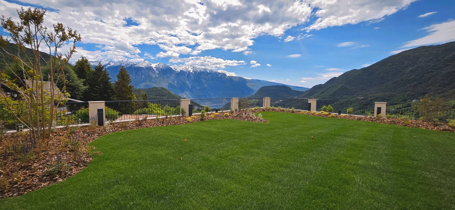 Mediterranean garden with olive trees and cypresses