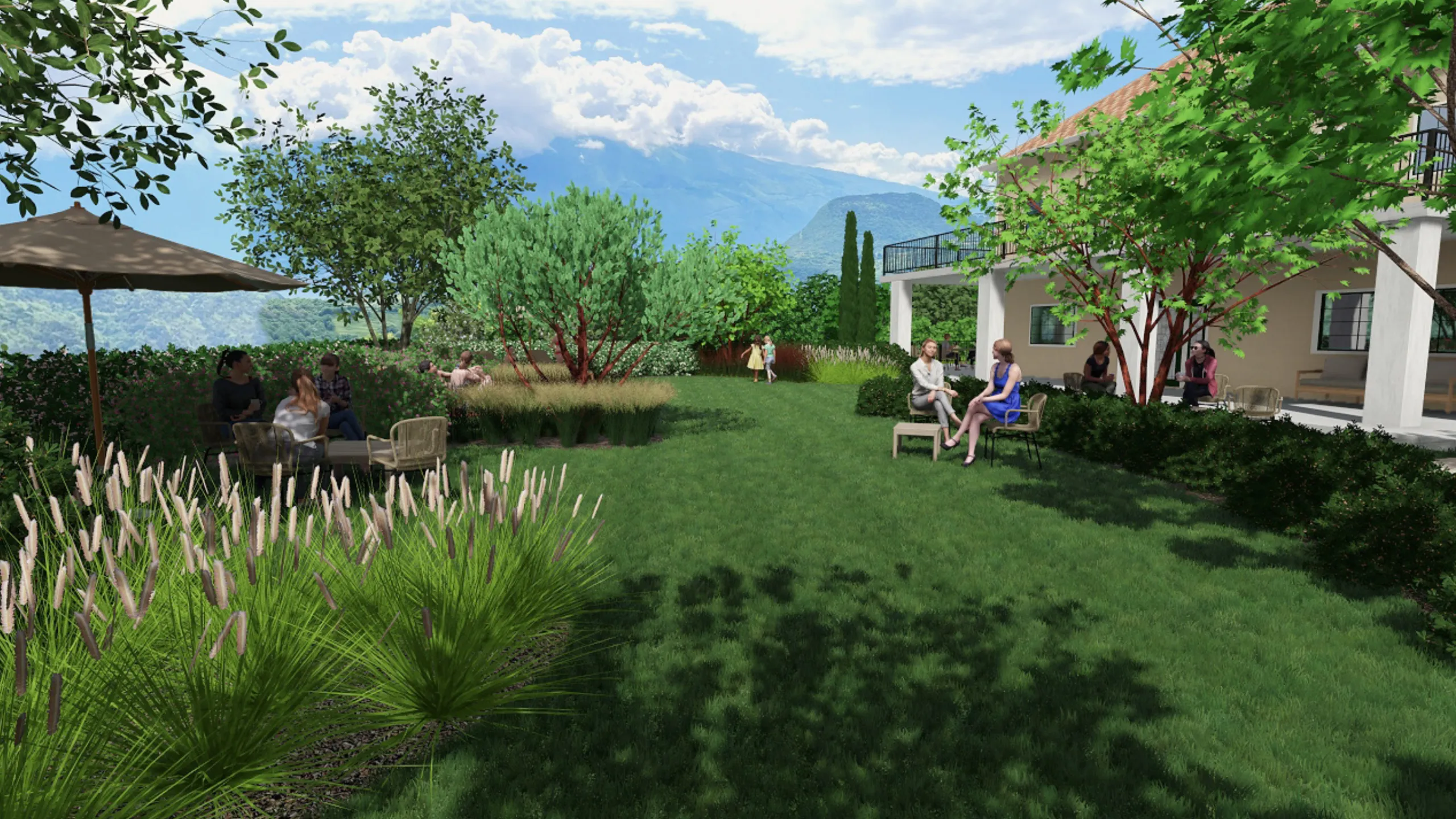 Mediterranean garden with olive trees and cypresses